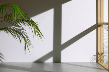 Soft sunlight through wooden windows, shadows, green leaves and texture of white walls.