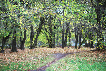 city park without people on an autumn day, bright rays of the sun shine through the crowns of maple...