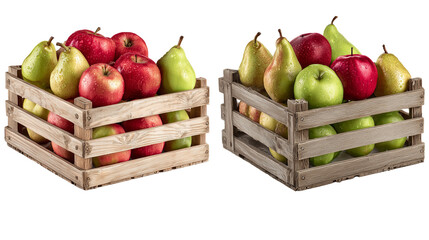  Apples and Pears on Transparent Background