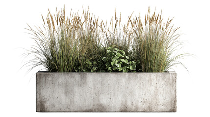 Modern Planter on Transparent Background