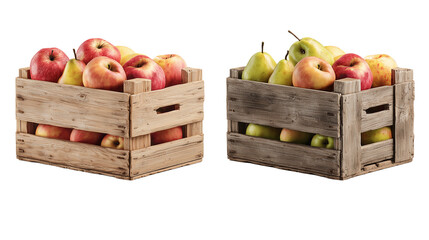  Apples and Pears on Transparent Background