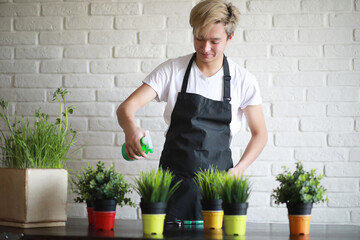 Young Asian boy takes care of indoor plants