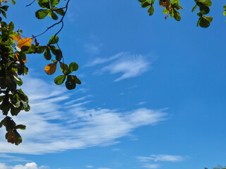 Bright blue sky partially covered with thin clouds and green leaves framing the upper corners of the photo