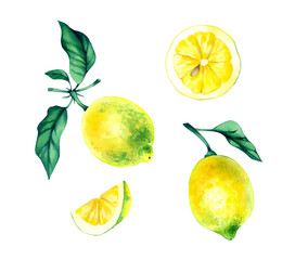 Watercolor hand drawn set of yellow lemons with leaves and wedge and slice. Perfect for wedding invitations, greeting cards, packaging, labels and food designs.
