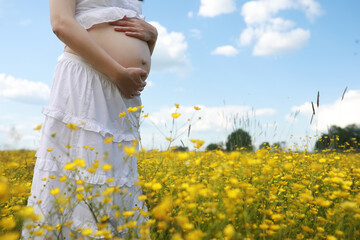 Pregnant woman in a dress in a field of flowers