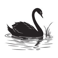 Silhouette of a black swan swimming in water with reeds