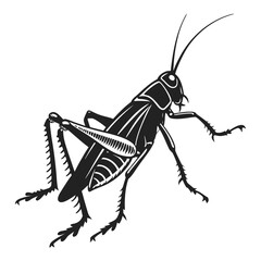 Detailed black and white illustration of a grasshopper