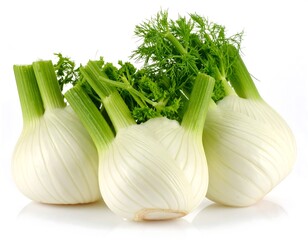 Fresh Fennel Bulbs with Herbs