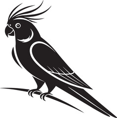 Fototapeta premium Black cockatoo perched on branch parrot bird