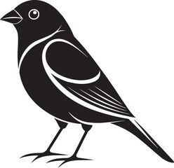 Obraz premium Stylized black bird with white accents graphic