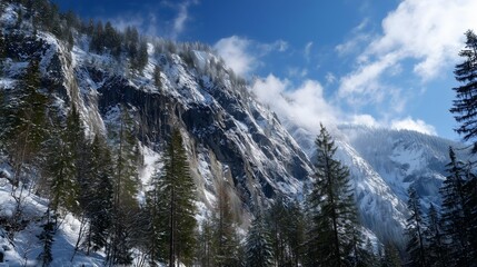 **Snow on mountain with greenery themes like trees, rocky alpine cliffs partially covered in white powder with pine trees hugging the edge