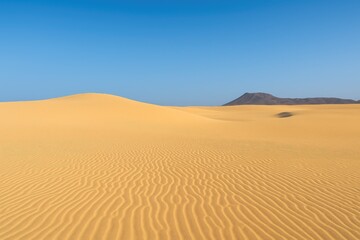 Golden desert waves beneath a clear azure sky in a protected natural area
