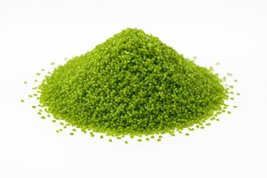 Water Meal of Wolffia globosa on plain backdrop