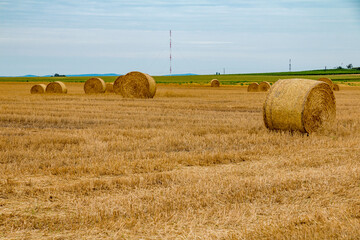 round straw bales in golden field