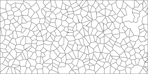Obraz premium Abstract cellular pattern with black lines on a white background depicting an organic geometric structure