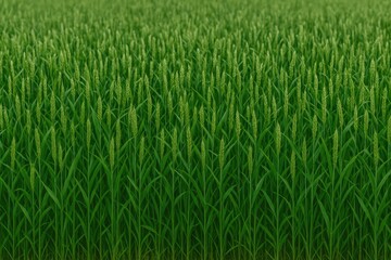 Obraz premium Marijuana cultivation areas