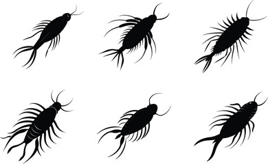 Obraz premium Copepod Silhouette Copepod Vector Illustration Set