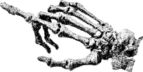 Skeleton hand with pointing finger in vintage stipple engraving style. Anatomy detailed black and white vector illustration.