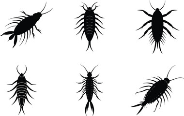 Copepod Silhouette Vector Illustration