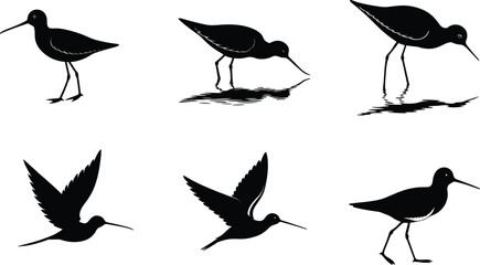 Dunlin Silhouette Vector Illustration Set