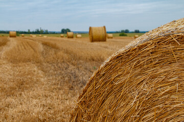 farmland with straw bales under blue sky