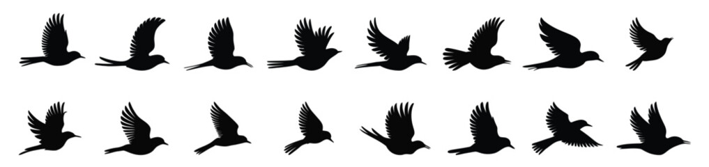 Sequence of twenty black bird silhouettes in various flight poses—illustrating avian motion, wing dynamics, and nature-inspired design