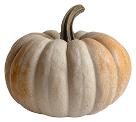 PNG Jarrahdale pumpkin vegetable centerpiece decoration.