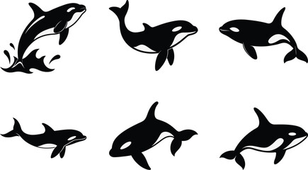 Silhouette Orca Swimming Vector Silhouette