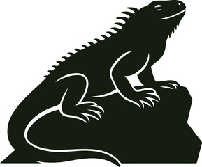 Silhouette of an Iguana Resting on a Rock