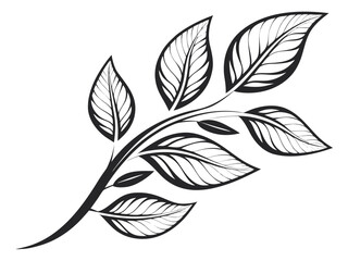 Elegant black and white leafy branch design suitable for various creative projects