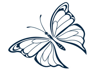 Elegant hand drawn butterfly illustration in a simple monochromatic vector design
