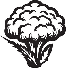 Fototapeta premium Illustration of a fresh cauliflower in black and white