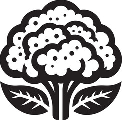 Illustration of a fresh cauliflower in black and white