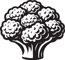 Illustration of a fresh cauliflower in black and white