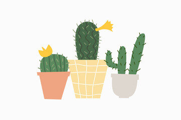 Flowering cacti of different shapes and types in colorful pots. Potted plants on a white isolated background. Desert thorny plants at home.