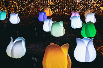 Warsaw, Poland - February 27, 2022: Magical Botanic Garden exhibit in Botanic Garden of Warsaw...