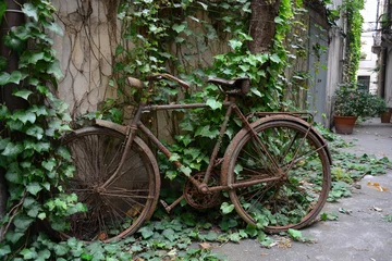 Gordijnen Old rusted bicycle nearly engulfed by ivy vines in narrow urban alleyway, wall textures visible © Arsenii Baza