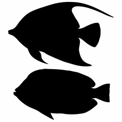 Two tropical fish silhouettes on a white background marine life underwater world ocean life