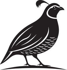 Obraz premium Black quail bird profile white