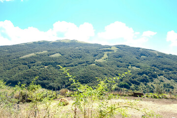 Expansive panoramic view of rolling green hills and forests under a clear sky, typical of the...