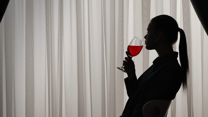 Silhouette of a Woman Sitting and Holding a Wine Glass