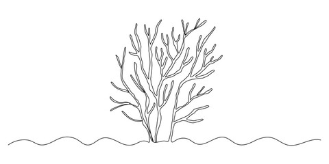 Seaweed one line illustration, continuous line isolated sketch, border doodle © Elena