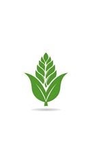 Green stylized plant graphic