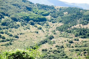 Expansive panoramic view of rolling green hills and forests under a clear sky, typical of the...
