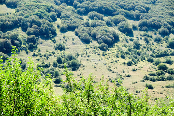 Expansive panoramic view of rolling green hills and forests under a clear sky, typical of the natural beauty found near Pescasseroli in Abruzzo, Italy.