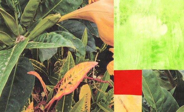 Abstract collage featuring Brugmansia plant with vibrant colors and golden ratio elements
