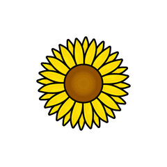 Gift pattern, mixed flowers, daisy, yellow flowers, pink flowers, blue flowers, black and white flower pictures