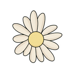 Gift pattern, mixed flowers, daisy, yellow flowers, pink flowers, blue flowers, black and white flower pictures