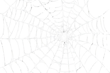 PNG An abstract spider web pattern illustration background arachnid.