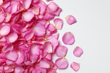 Obraz premium A mass of light pink rose petals on a white background, scattered sparsely to the right